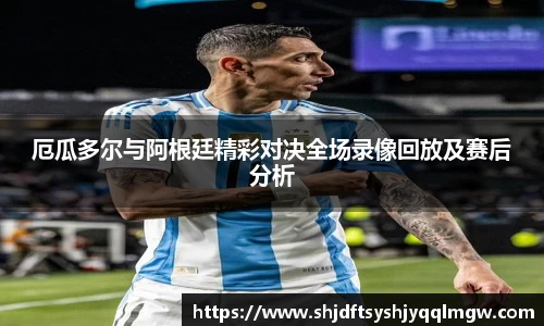 快盈VIII